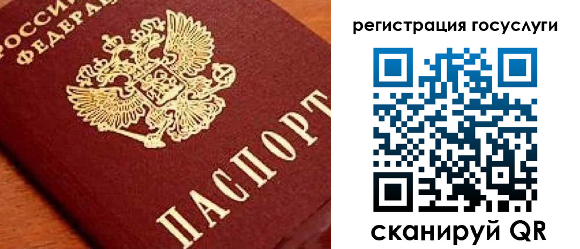 временная регистрация недорого в Волосово