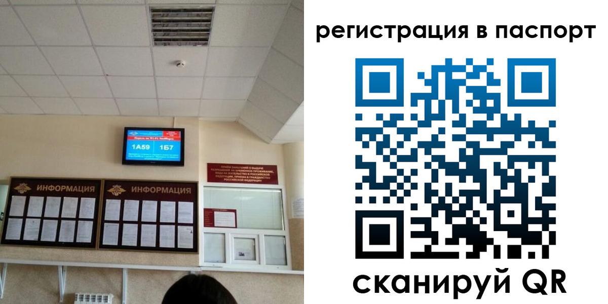 временная регистрация надежно в Волосово